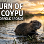 coypu.png